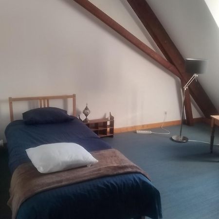 Ferienwohnung M2Couronne Mülhausen Exterior foto